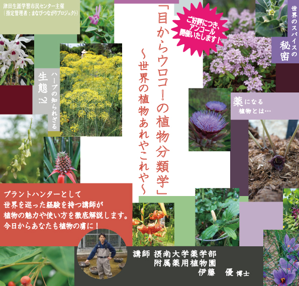植物分類学